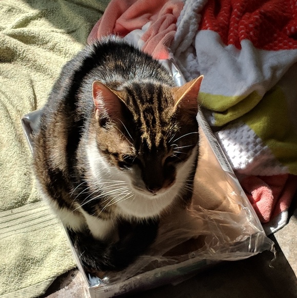 Maria and Sam living the life! - Picture 5 of 7